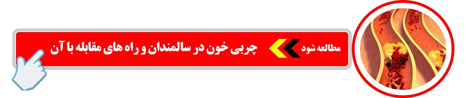 چربی خون در سالمندان و راه های مقابله با آن چیست ؟